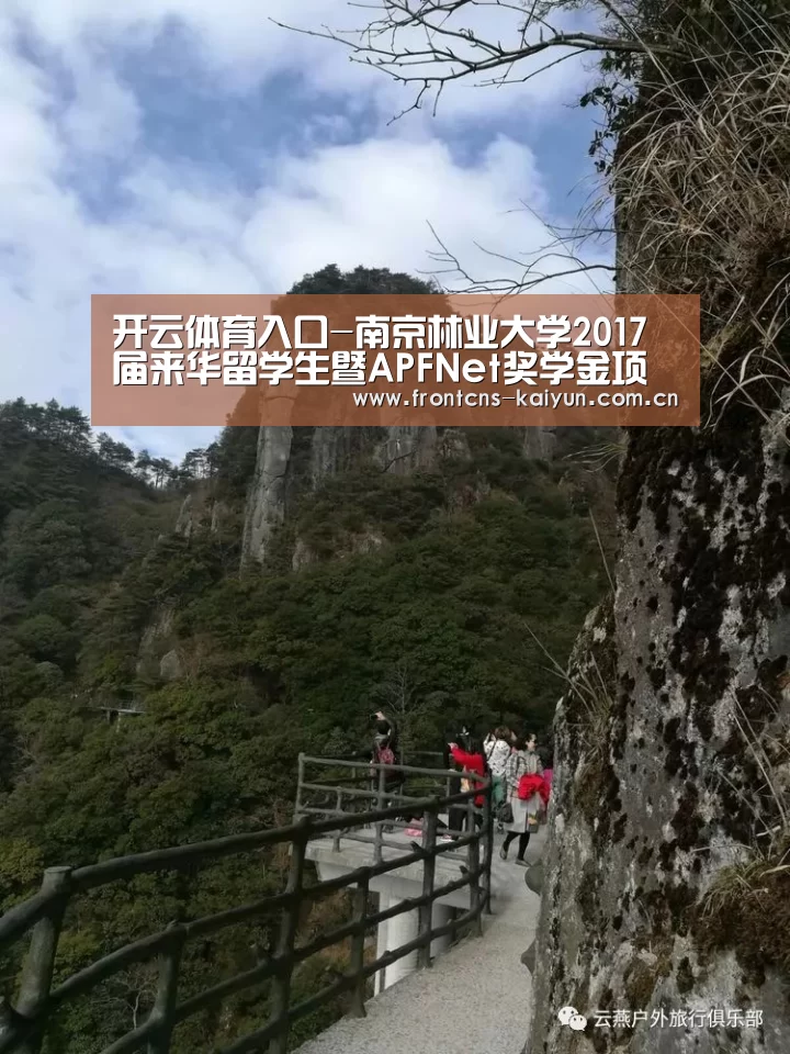 开云
