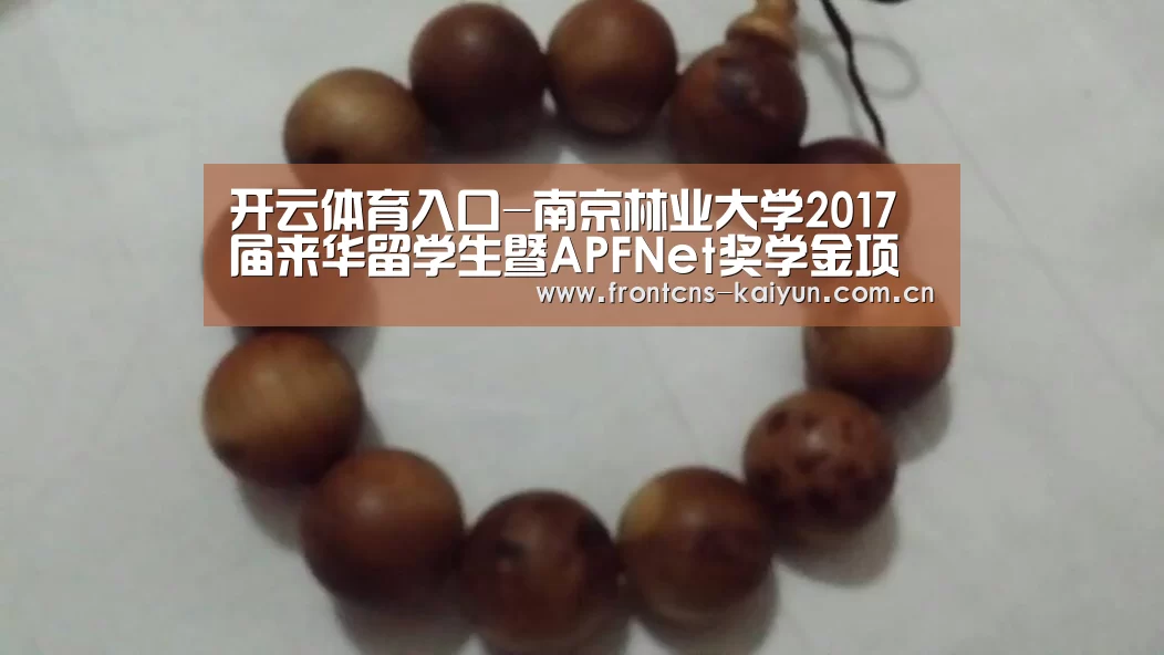 开云体育下载