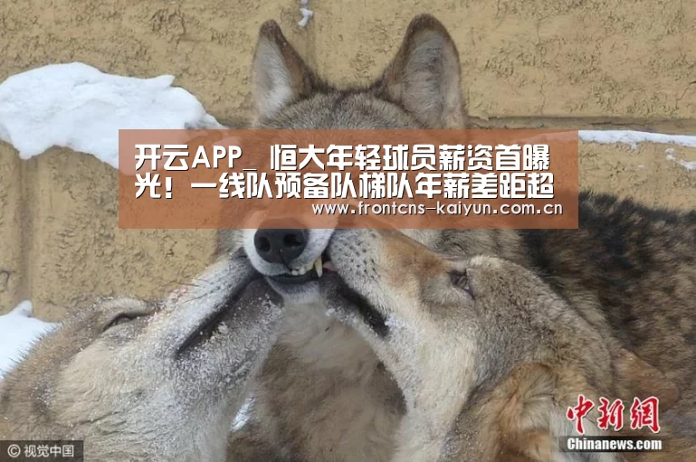 开云APP_
恒大年轻球员薪资首曝光!一线队预备队梯队年薪差距超百倍(图2) 开云APP