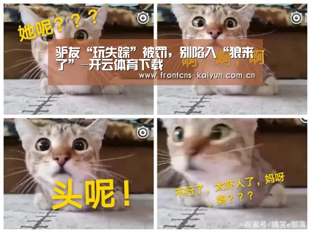驴友“玩失踪”被罚,别陷入“狼来了”-开云体育下载(图3) 开云体育入口