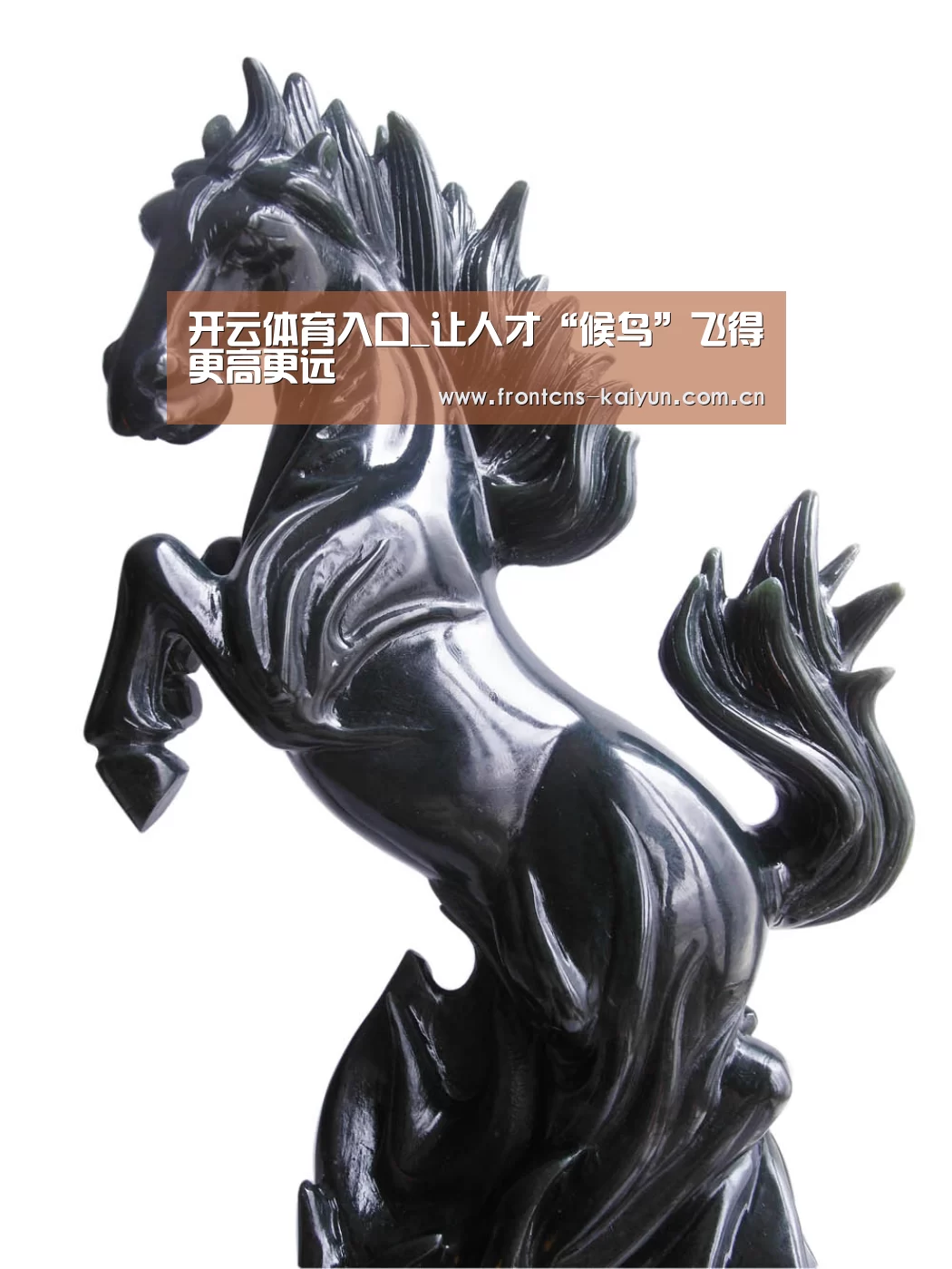 开云体育入口_让人才“候鸟”飞得更高更远(图1) 开云体育下载