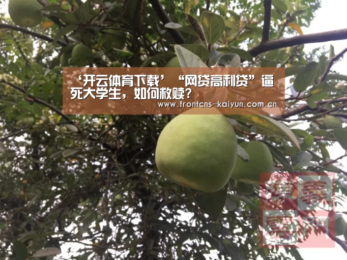 ‘开云体育下载’“网贷高利贷”逼死大学生，如何救赎?(图2)